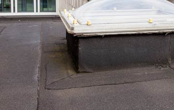 disadvantages of Piddletrenthide flat roofs