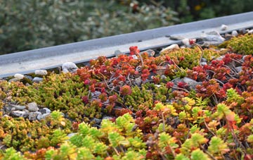 the cost of Piddletrenthide green roof installation