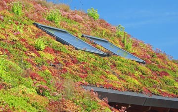 Piddletrenthide living roof systems