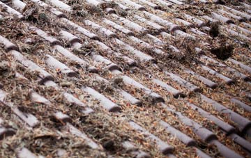 Piddletrenthide roof cleaning companies