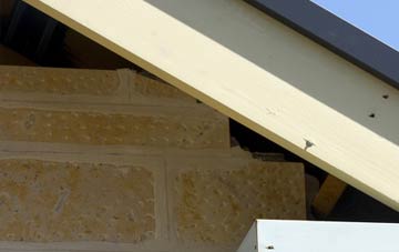 soffit repair Piddletrenthide
