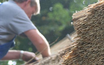 professional Piddletrenthide thatchers