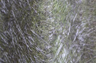 Piddletrenthide fibreglass roof work